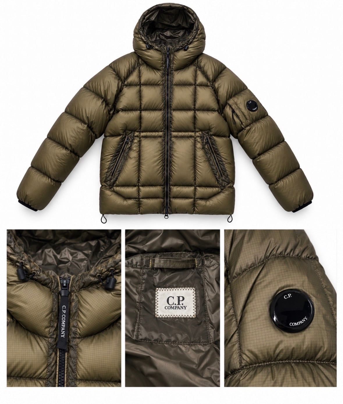 CP DD Shell Green
